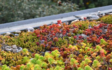 the cost of Clachan Na Luib green roof installation